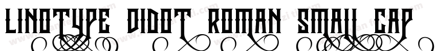 Linotype Didot Roman Small Caps & Oldstyle Figures字体转换